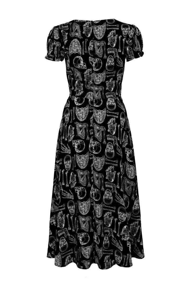 Anatomy Dress