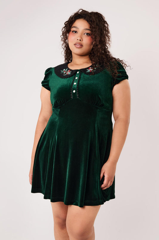 Robin Dress